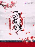 黑月光张碧晨/毛不易