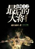 海贼王之最后的大将在线观看