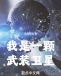 我是一颗武装卫星